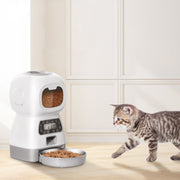 Pet's Automatic Food Dispenser